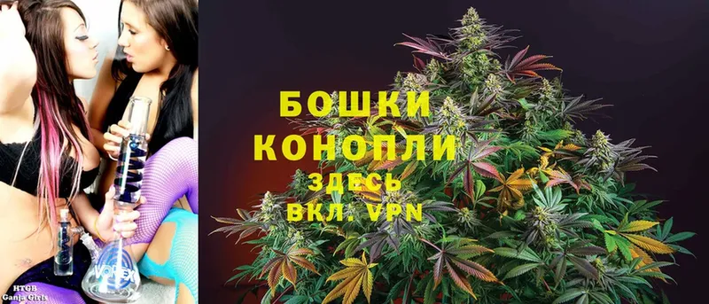 Каннабис SATIVA & INDICA  Серафимович 